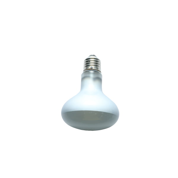 Էլ.լամպ R80 100W E27 SP